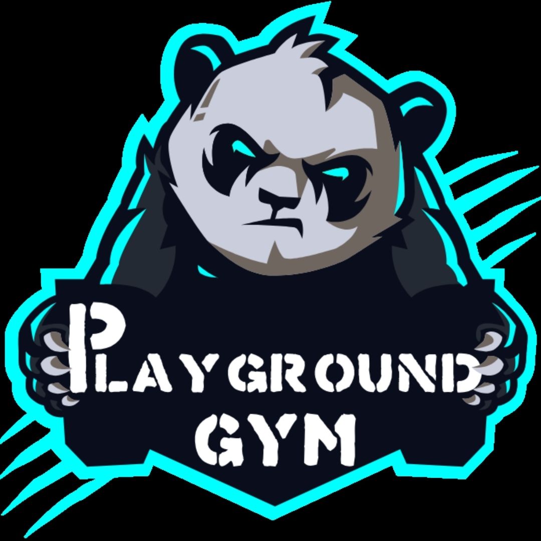 playground gym